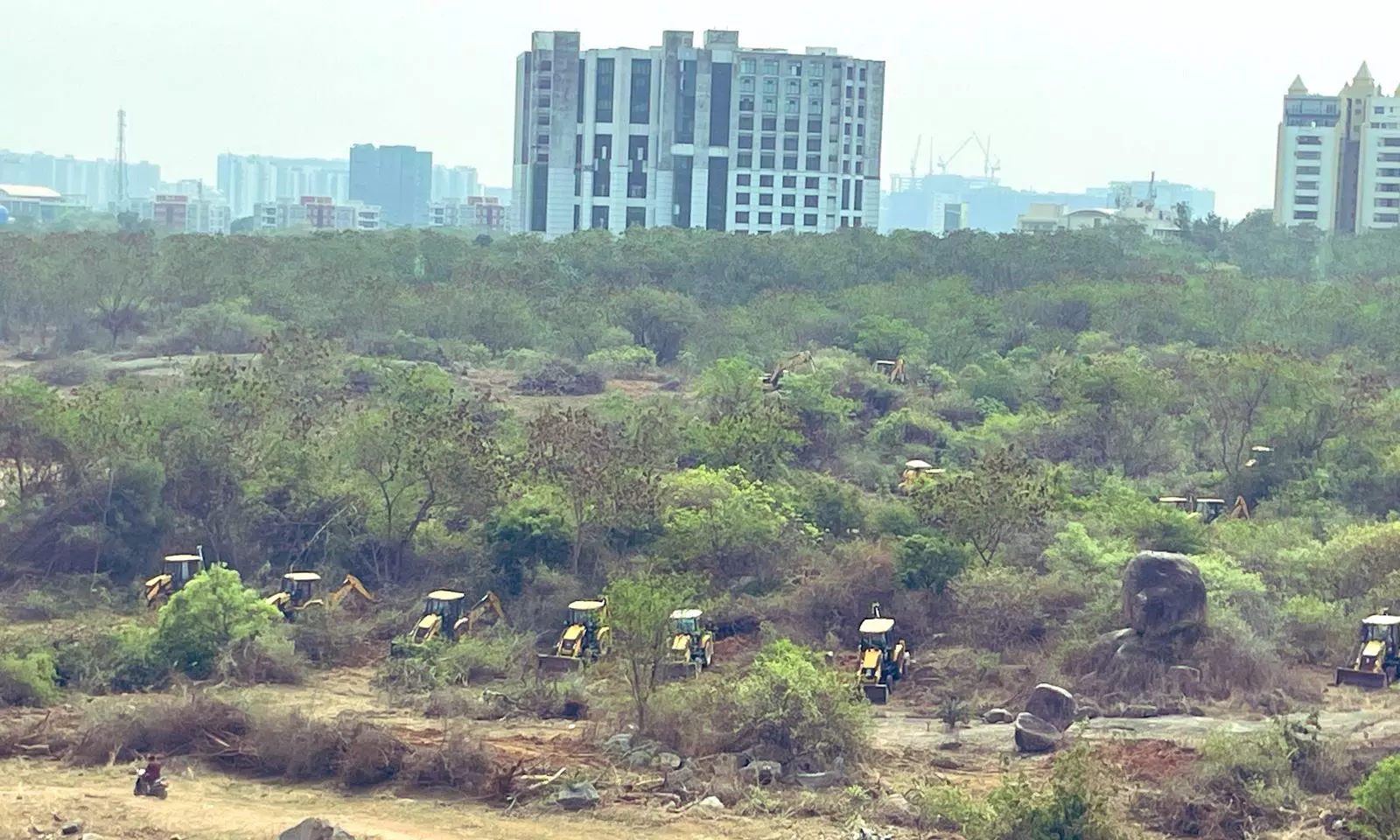 Wildlife Protection in Kancha Gachibowli Rests With Land Owner: Forest Officials