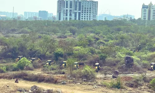 SC to Hear Kancha Gachibowli Land Case Today