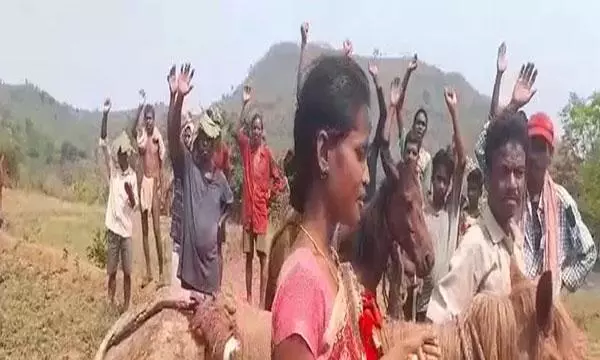 Madrebu: Tribals Trek 8km for Survival