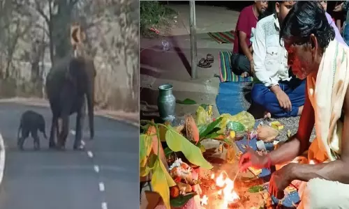 Odisha villagers perform Ekoisia Puja for baby elephant