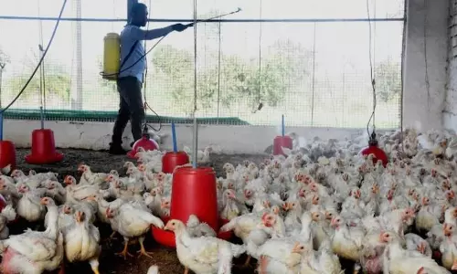 Central team calls for testing of doctors, staff for antibodies