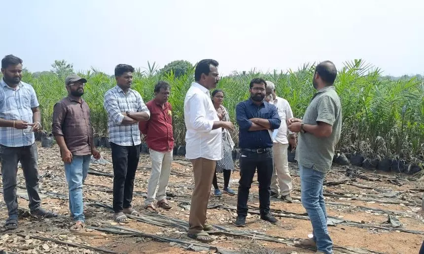 Oil palm can turn farmers into kings: TSCOGF chief