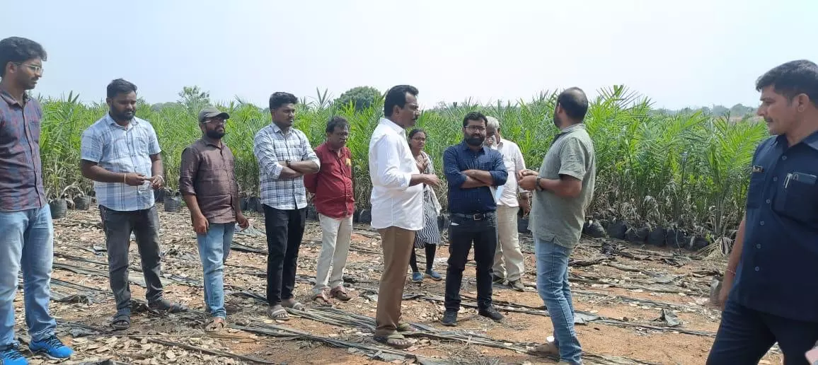 Oil palm can turn farmers into kings: TSCOGF chief