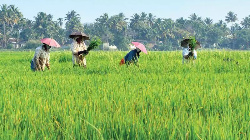 Drone-based Farming Tech For Vizianagaram Farmers