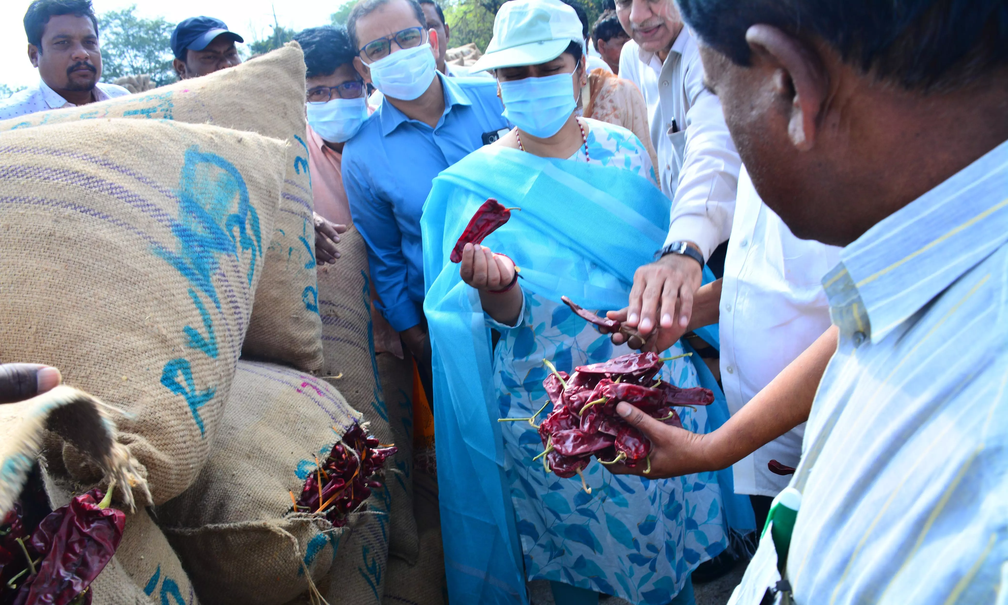 GI Tag Comes as a Timely Boost to Warangal Chapata Chilli Farmers