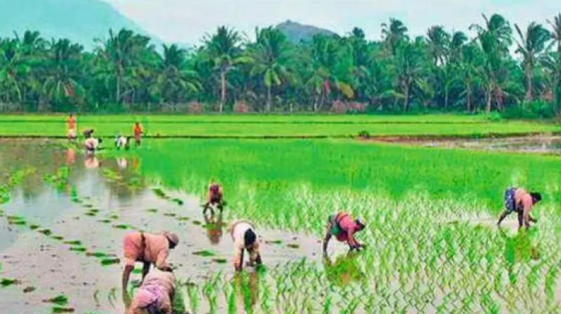Kerala, AP to join forces, promote natural farming