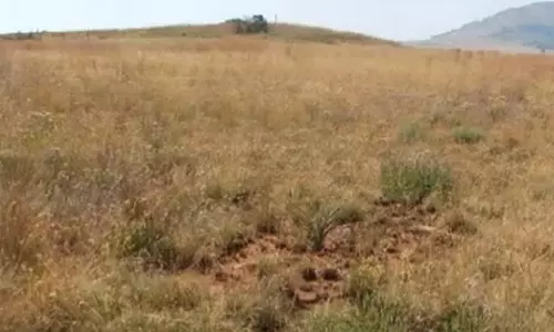 Vizagite Hands Over 30-Acre D Patta Land to Government