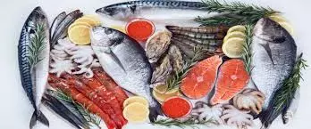 Ecuador to grab India’s marine food market share Ecuador to grab India’s marine food market share
