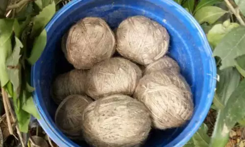 Bomb Blast Injures Two Students in Samsergunj Amid Tension Bomb Blast Injures Two Students in Samsergunj Amid Tension