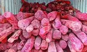 Smuggler held with red sanders in Rayachoti Smuggler held with red sanders in Rayachoti