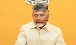 AP rising, records 8.22 per cent growth rate: CM