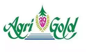 ED focuses attention on high-profile cases