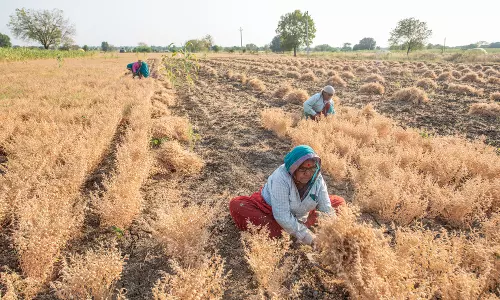 Farmer’s plaint leads to joint survey by forest, revenue dept