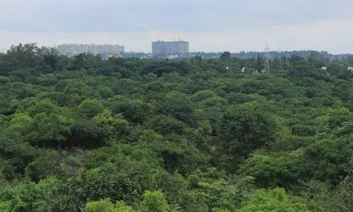 SCs Central Empowered Committee to visit Kancha Gachibowli on April 10