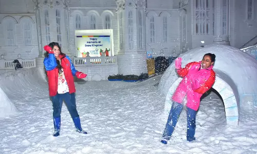 Take a Snow Day this Sizzling Summer at the Snow Kingdom