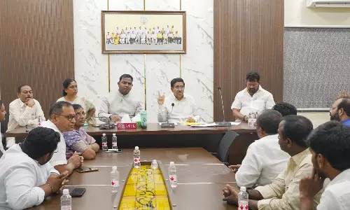 200-day stray dogs’ sterilisation underway in AP: Narayana