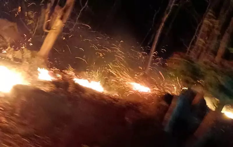 Odisha Deploys Drones, AI Surveillance to Tackle Widespread Forest Fires Odisha Deploys Drones, AI Surveillance to Tackle Widespread Forest Fires