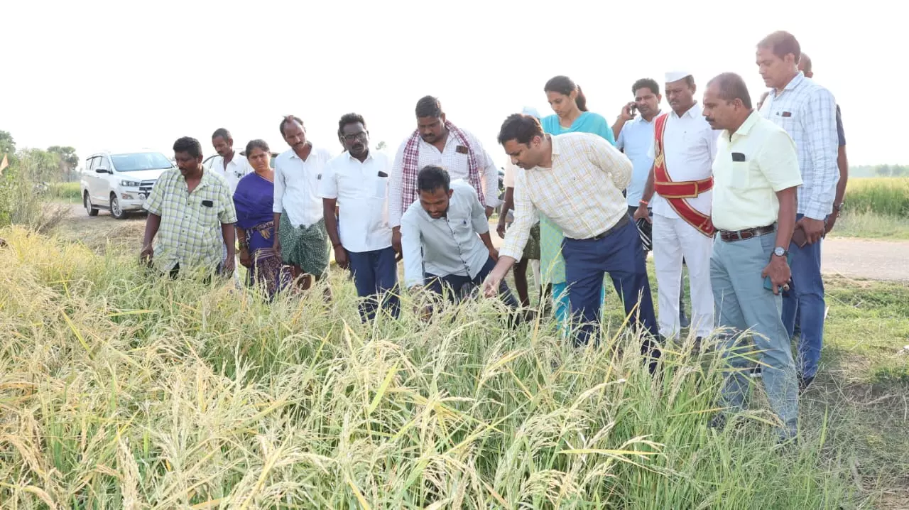 Unseasonal rains wreak havoc in Mahabubabad and Mulugu
