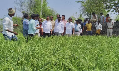 Rooftops blown away, crops, infra hit in unseasonal rains in Mulugu, Mahbubabad