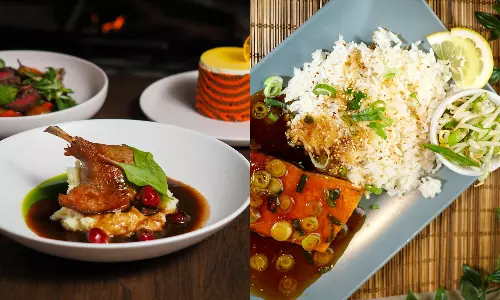 Boardroom Bites: Firewater Neo Launches Quick Corporate Lunches in Hyderabad!