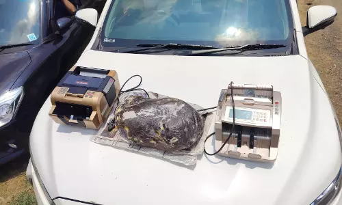 10 arrested for illegal transport of whale vomit worth Rs 10 crore