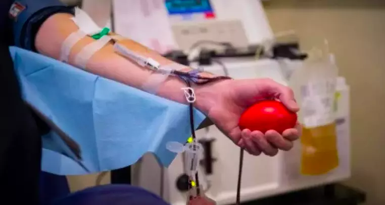 TNGOs organises blood donation camp in Hyd