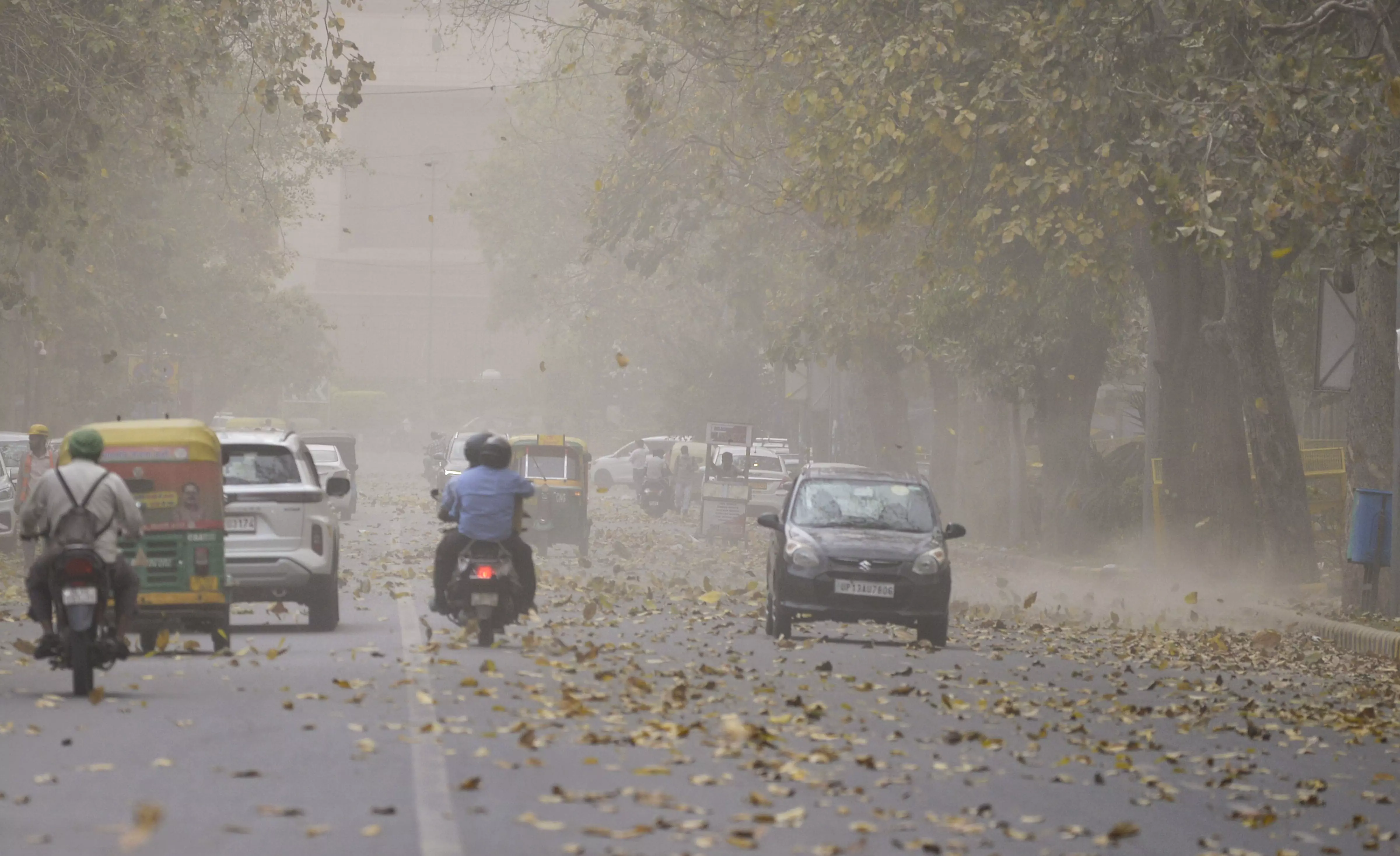 Delhi hit with sudden dust storm and rain, trees uprooted in many parts