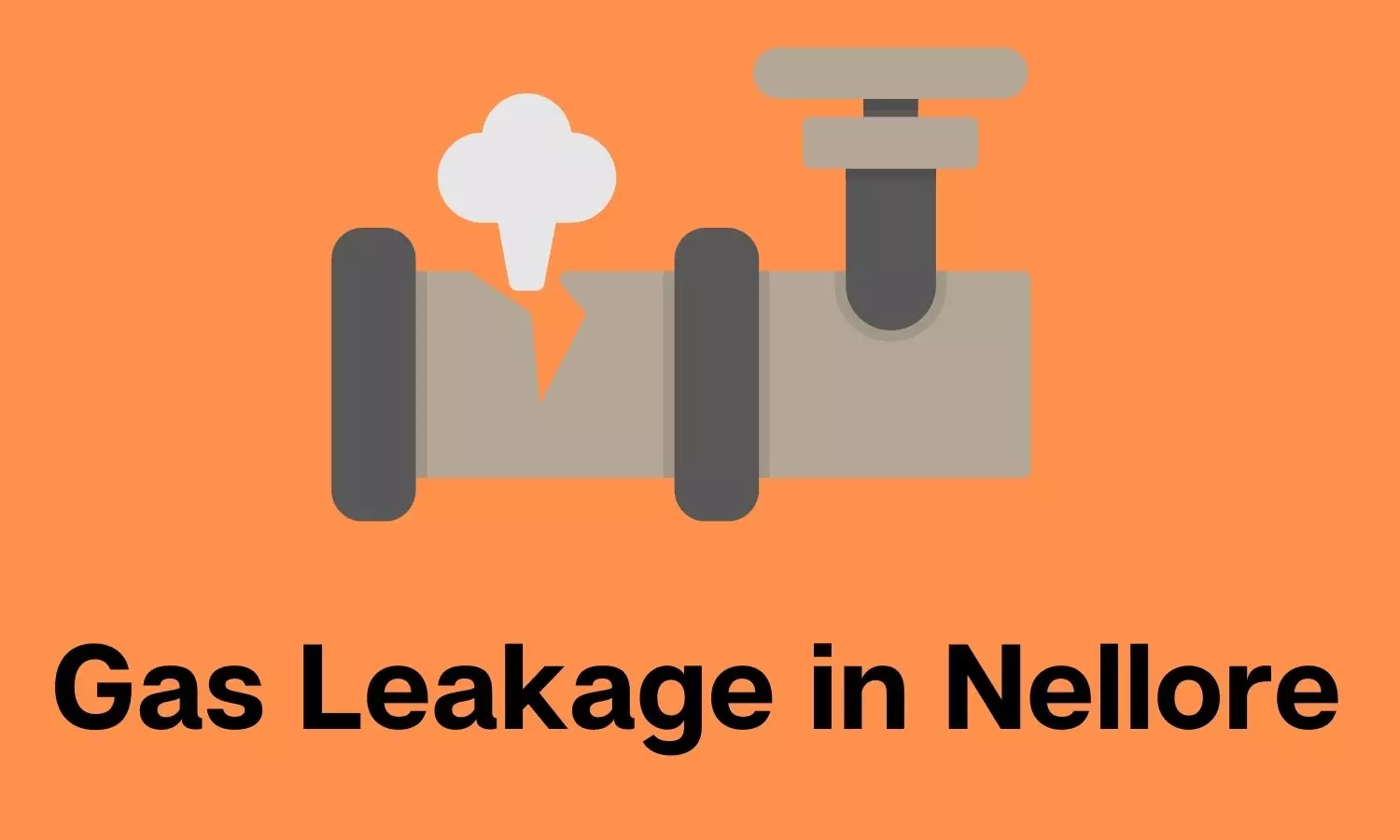 Nellore Ammonia Gas Leak: 10 workers taken ill