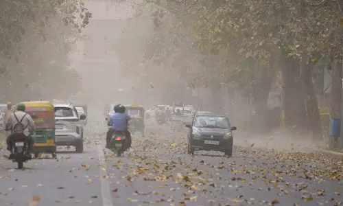 Delhi hit with sudden dust storm and rain, trees uprooted in many parts