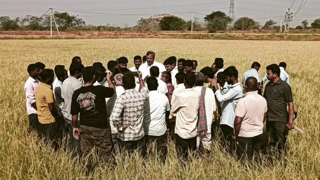 Sudden hailstorm damages crops, harvest, power infra in 3 districts