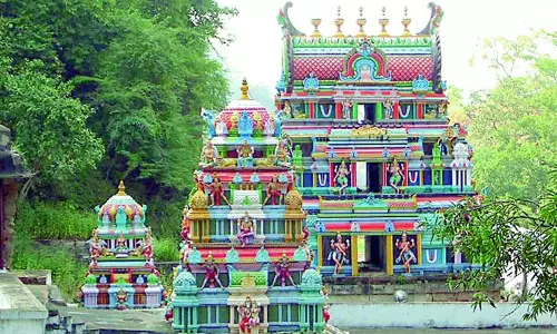 Swathi Celebrations Held at Ahobilam