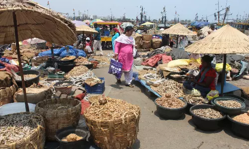 61-day fishing ban may affect livelihood; price of dried fish goes up