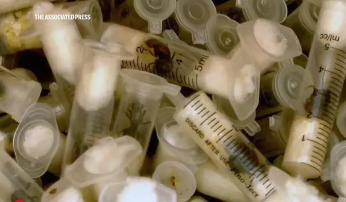 Belgian Teens Charged with Wildlife Piracy in Kenya for Trafficking Ants Belgian Teens Charged with Wildlife Piracy in Kenya for Trafficking Ants
