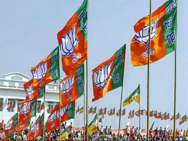 BJP Meets To Discuss Organisational Reshuffle, Presidents Election