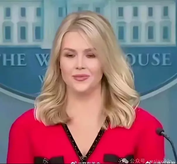 Karoline Leavitts Made-in-China Dress Sparks Mockery Amid US-China Trade War