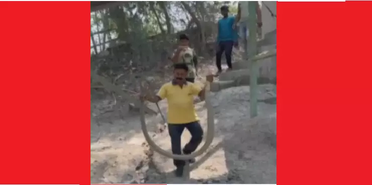 12-Foot King Cobra Rescued In Odishas Rayagada District 12-Foot King Cobra Rescued In Odishas Rayagada District