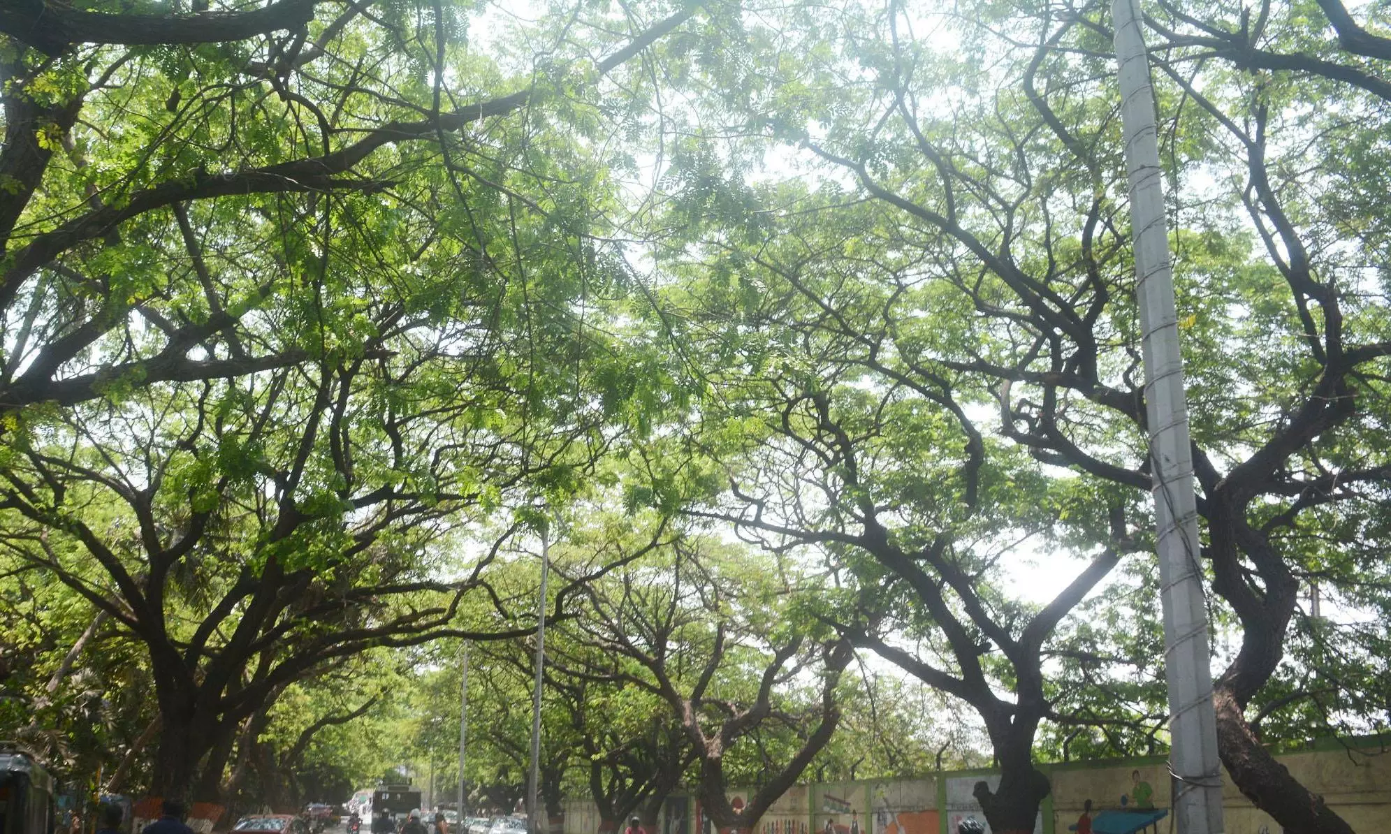 Heat and Storms Grip Telangana as Weather Turns Unpredictable Heat and Storms Grip Telangana as Weather Turns Unpredictable