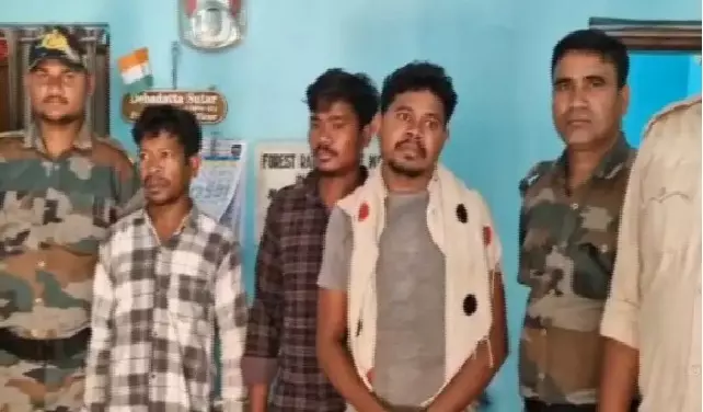 Odisha: Forest Department Seizes Explosives Used for Wild Boar Hunting; Three Poachers Arrested