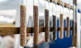 Suman Sahai | Second Gene Bank May Establish India As a Global Leader in Biodiversity Sector