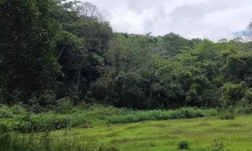 ASI to Document 15 Satavahana Inscriptions