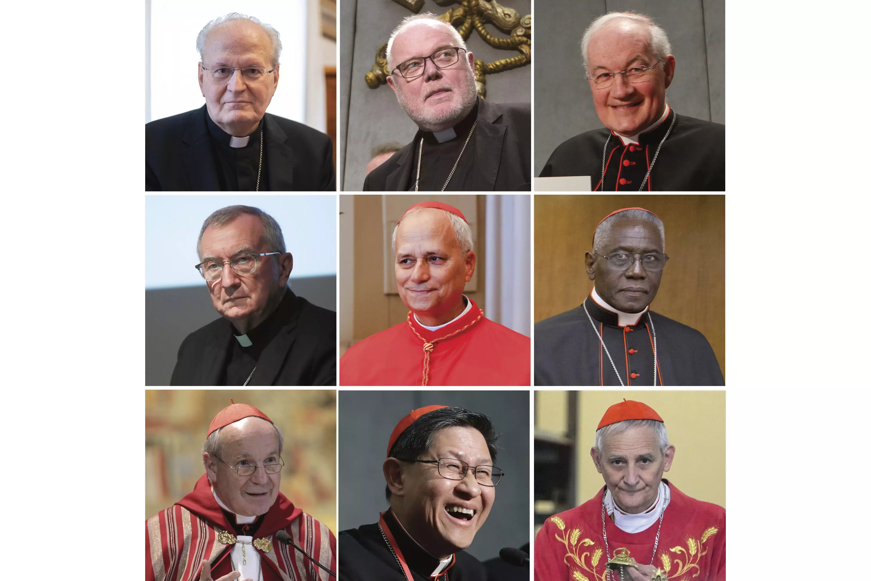 Which Cardinals Are Seen As Contenders To Be The Next Pope?