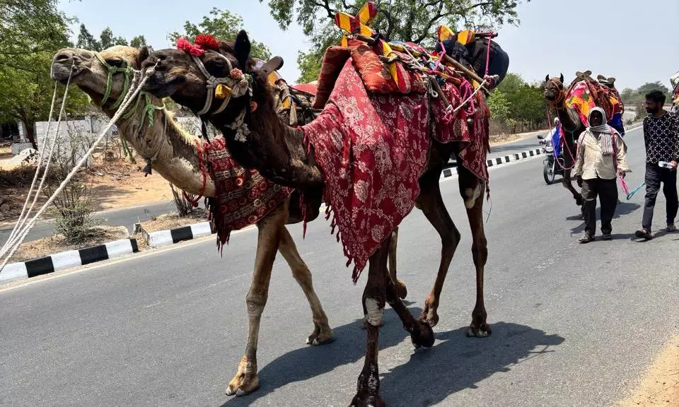 Nizamabad Tops In Highest Temperature