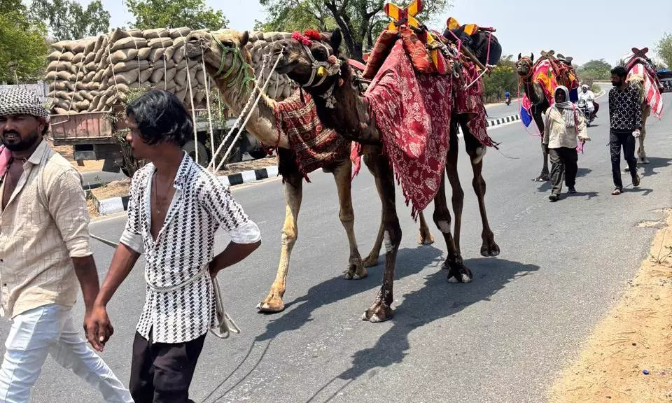 Nizamabad Tops In Highest Temperature