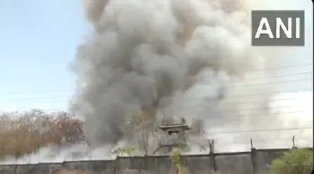 Fire Breaks Out at BHEL Bhopal Plant, No Injuries Reported