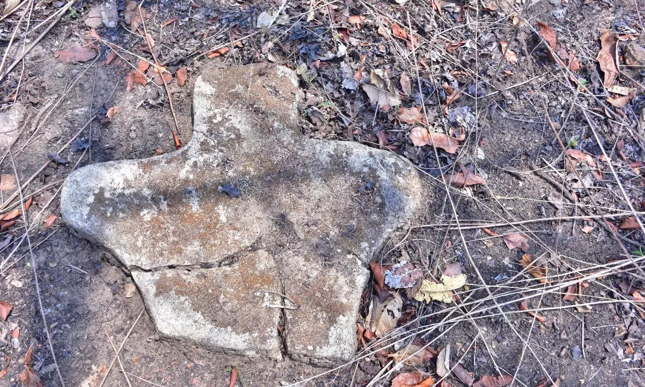 Rare Human-Like Menhirs Found in Mulugu