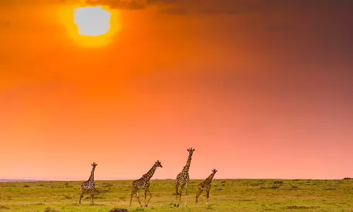 7 Destinations, One Unforgettable Summer, Endless Family Memories