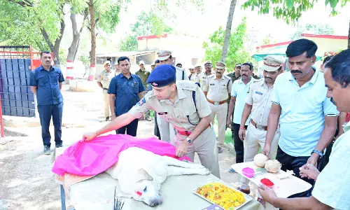 Adilabad Police Pays Tribute To Sniffer Dog Tara