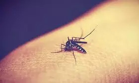 North Andhra Region Scales Up Malaria fight With Drones, Data, And District-Led Action