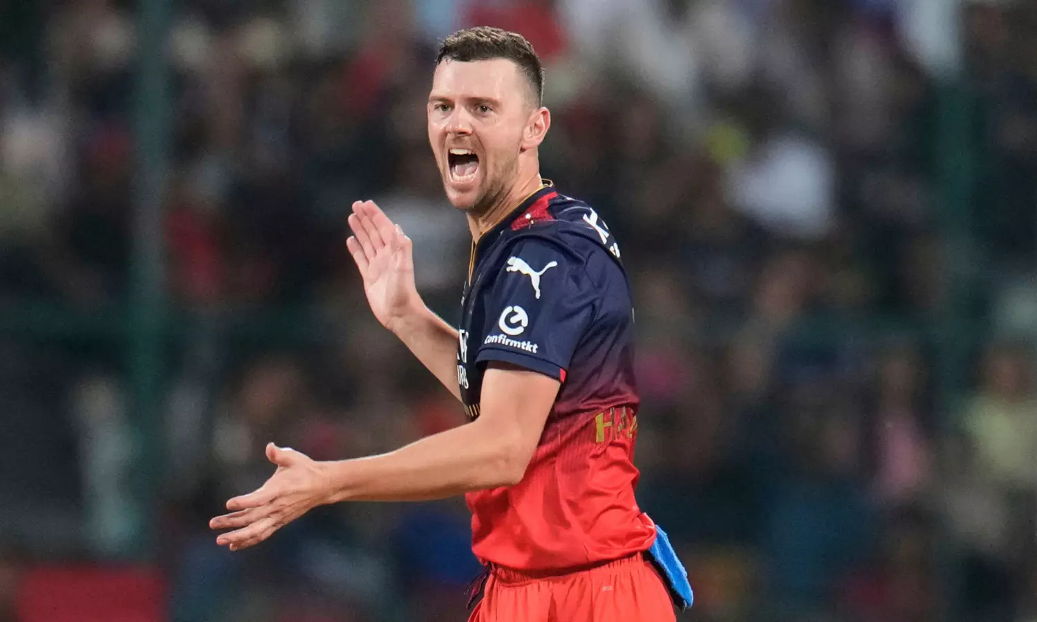 Australia Should Pick Hazlewood For WTC Final: Shastri After RCB Win