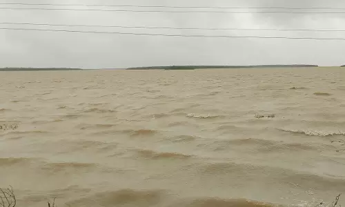 The Long-Awaited Move Will Revive the Dying Lagoon on the Side of Andhra Pradesh